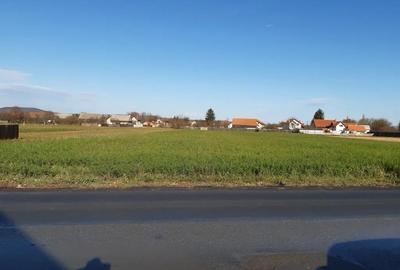 Teren de 4650 mp, în Hărman