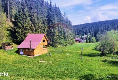 Casă cu 3 camere decomandat cu Teren 2237 Mp în Beliș - 15