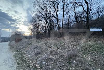 Oportunitate! 5 hectare Padure, Satul de Vacanta, parcelabil - 3