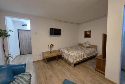 Garsonieră decomandată în Gojdu - 3