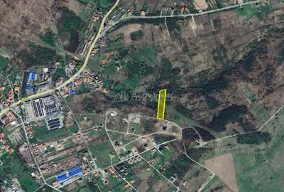 Lugoj Teren 5.300 Mp., Dealul Viilor, Priveliste Impresionanta - 5