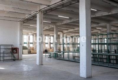 Spatiu comerical-birouri-productie-showroom | 1000 MP - 3000 MP | APACA-AFI Mall - 16