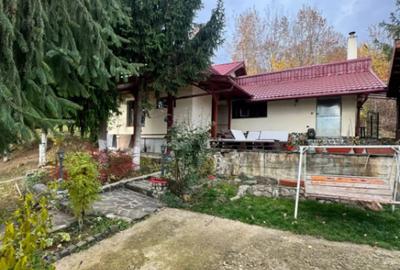 Casă cu 4 camere cu Teren 1527 Mp în Tăuții de Sus - 10