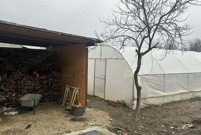 Casă cu 5 camere cu Teren 3885 Mp în Izgar - 15