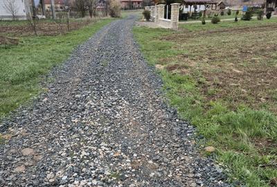 Spațiu comercial, în Luna - 3