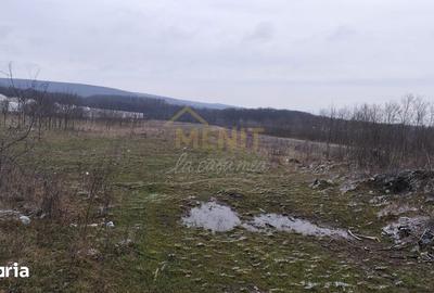 Teren de 7500 mp, în Scorțeni - 3