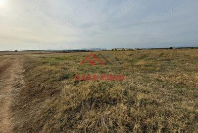 Casă cu Teren 10000 Mp în Băicoi - 8