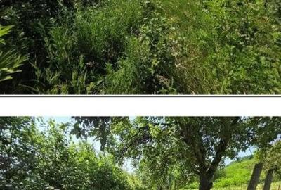 Teren de 2300 mp, în Duda - 1