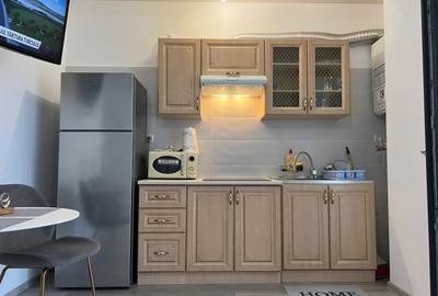 Garsonieră semidecomandată, mobilată în Nord - 6