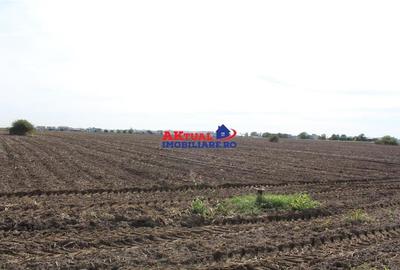 Teren de vanzare Balotesti -6.800mp-Stradal -Residentiale sau Comercial-cu toate - 5