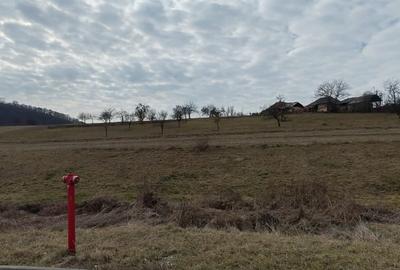 Teren Construcții intravilan de 2748 mp, în Fâșca - 6