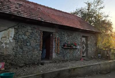 Casă cu 3 camere cu Teren 1200 Mp în Goruia - 5