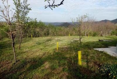 Casă cu 2 camere cu Teren 8000 Mp în Barbura - 6