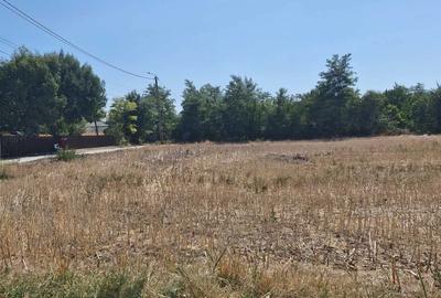 Spațiu comercial, în Rasa - 1