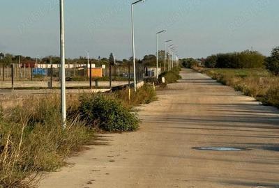 Frumusani Teren construibil 500MP - 11