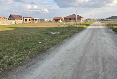 Spațiu comercial, în Sânmihaiu Român - 10