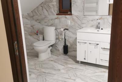 Casa P+M in Catamarasti mobilata si utilata - 8