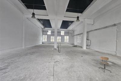 Spațiu industrial, de 340 mp, în B-dul București - 2