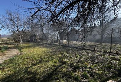 Casă cu 3 camere cu Teren 8000 Mp în Someș-Odorhei - 2