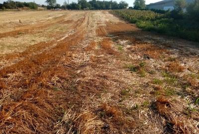 Spațiu comercial, în Ghimpați - 5