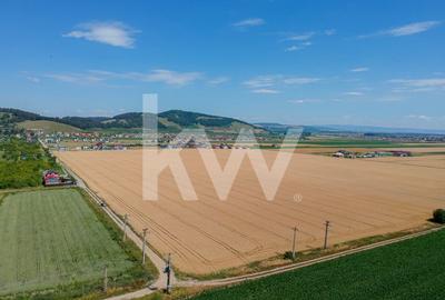 Teren Extravilan Sanpetru! Ideal pentru Investitie! - 9300 mp! - 3