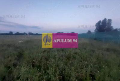 Teren de 3820 mp, în 1 Decembrie - 10