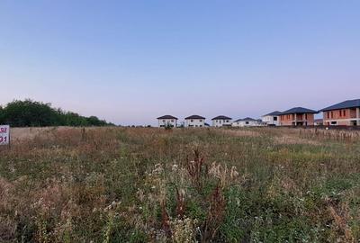 Teren în Corbeanca - 1