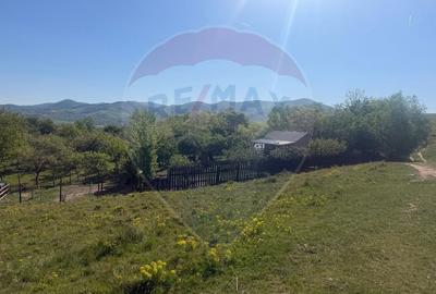 Teren agricol extravilan de 6322 mp, în Central - 7