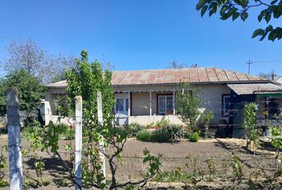 Casa locuibila / Baraganul ( Braila )