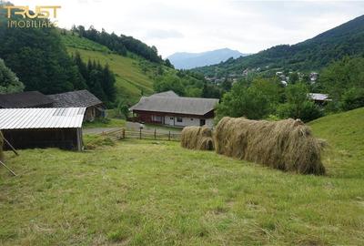 Casa, anexe, teren, gradina, livada - 7