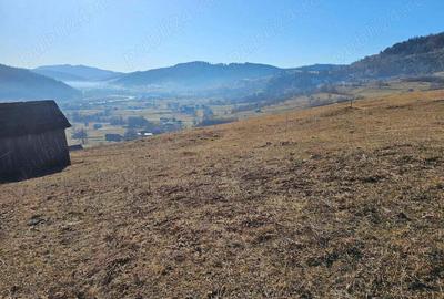 Teren extravilan de vanzare in Bucovina zona Frasin - 1