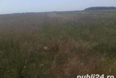 Teren de 12200 mp, în Mihăilești - 3