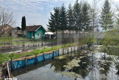 Casă cu 1 camere cu Teren 2300 Mp în Prejmer - 6