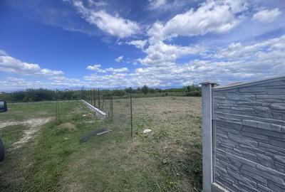 Spațiu comercial, în Târgu Cărbunești - 3