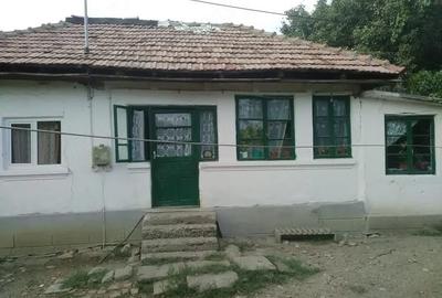 Casă cu Teren 6000 Mp în Copăceni - 1