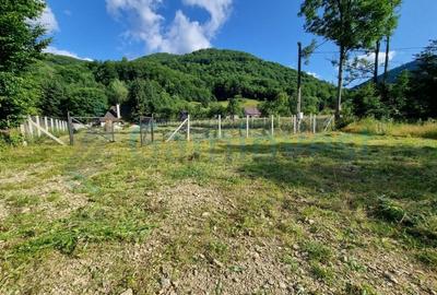 Teren intravilan 1692 mp in Remeti, Bihor, GAMINVEST, V4336 - 5