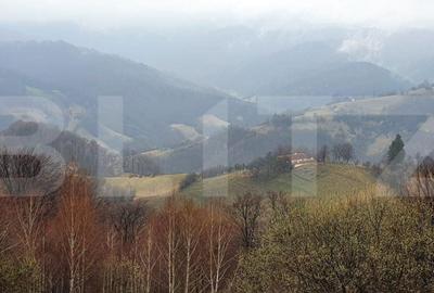 Spațiu comercial, în Paltin - 2