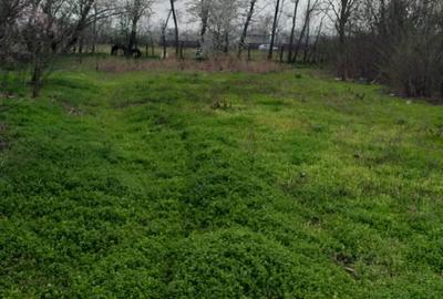 Casă individuală cu 4 camere cu Teren 1800 Mp în Heliade Rădulescu - 3