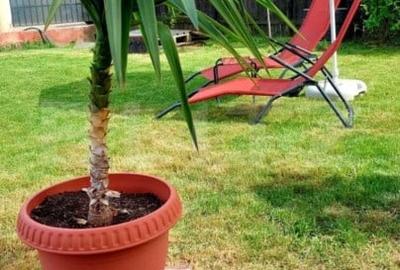 Casa individuala 4 camere, 130 mp, zona Valea Calugareasca, Darvari - 8