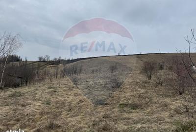 Teren de 2307 mp, în Ciurila - 2