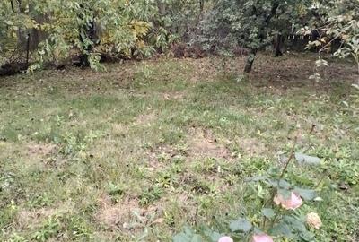 Casă cu 3 camere cu Teren 2500 Mp în Central - 2