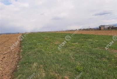 Eren intravilan 1400 mp de vanzare pe Valea Avrigului - 7