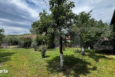 Casă cu 4 camere cu Teren 1144 Mp în Ighiu - 10
