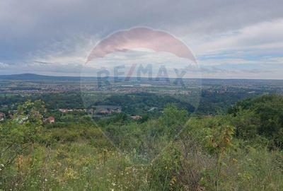 Teren intravilan in Oradea, Str. Piatra Craiului, Bihor - 6