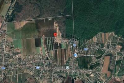 Teren în Periș - 1