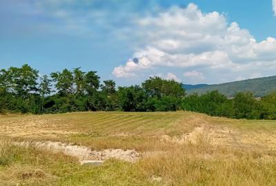 Teren de 500 mp, în Șelimbăr