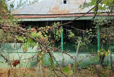 Casă cu 2 camere cu Teren 3000 Mp în Diculești - 5