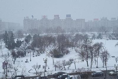 Apartament cu 4 camere în P-ța Unirii - 8