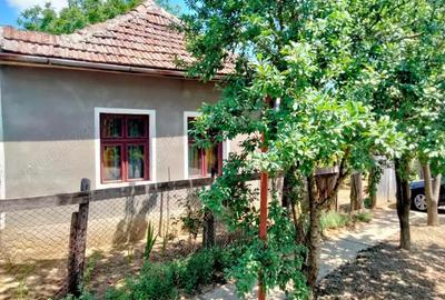 Casă cu 2 camere în Voivozi (Șimian) - 8