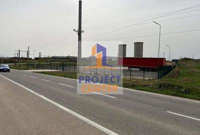 Teren Bradu, suprafata 3000 mp - 1